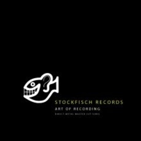 老虎魚 鑑賞盤 ( LP )／ART OF RECORDING DIRECT METAL MASTER CUT VINYL ( LP ...