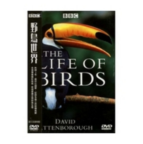 ライフ・オブ・バーズ/鳥の世界 DVD-BOX〈10枚組〉 鳥の生態 【公式通販】