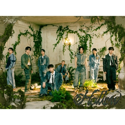 新品未開封　Stray Kids　HOLLOW シリアルあり　12枚 Stray Kids『Hollow』Special Site